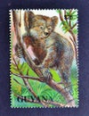 Cancelled postage stamp printed by Guyana, that shows Koala bear