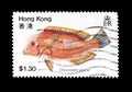 Postage stamp printed by Hong Kong Royalty Free Stock Photo