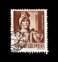 Cancelled postage stamp printed by Hungary, that shows knight Janos Hunyadi