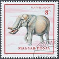 Cancelled postage stamp printed by Hungary, that shows Platybelodon