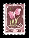 Flowers on postage stamps