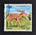 Cancelled postage stamp printed by Israel, that shows Fallow Deer