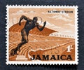 Cancelled postage stamp printed by Jamaica, that shows National Stadium and statue of runner Royalty Free Stock Photo