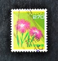 Cancelled postage stamp printed by Japan, that shows flower Dianthus superbus - Large Pink