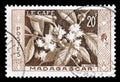 Madagascar on postage stamps Royalty Free Stock Photo