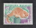 Cancelled postage stamp printed by Malagasy, that shows The greater dwarf lemur