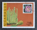 Cancelled postage stamp printed by Nicaragua, that shows Lophocereus schottii cactus Royalty Free Stock Photo