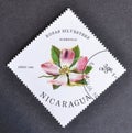 Cancelled postage stamp printed by Nicaragua, that shows Redleaf Rose