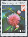 Cancelled postage stamp printed by Nicaragua, that shows Zarzamora (Mimosa albida) Royalty Free Stock Photo
