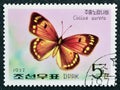 Cancelled postage stamp printed by North Korea, that shows Butterfly (Colias aurora)