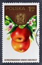 Cancelled postage stamp printed by Poland, that shows Apples Royalty Free Stock Photo