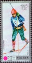 Cancelled postage stamp printed by Poland, that shows Biathlon Royalty Free Stock Photo