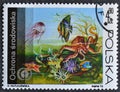 Cancelled postage stamp printed by Poland, that shows Painting of Marine life