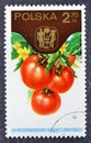 Cancelled postage stamp printed by Poland, that shows Tomatoes Royalty Free Stock Photo