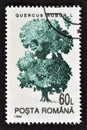 Cancelled postage stamp printed by Romania, that shows Common Oak Royalty Free Stock Photo