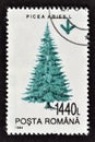 Cancelled postage stamp printed by Romania, that shows Common Spruce Royalty Free Stock Photo