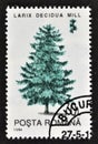 Cancelled postage stamp printed by Romania, that shows European Larch Royalty Free Stock Photo