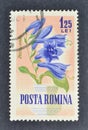 Cancelled postage stamp printed by Romania, that shows Hosta Royalty Free Stock Photo