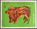 Cancelled postage stamp printed by Romania, that shows Wild boar cubs Royalty Free Stock Photo