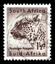 Postage stamp printed by South Africa Royalty Free Stock Photo