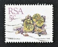 Cancelled postage stamp printed by South Africa, that shows Lithops dorotheae Royalty Free Stock Photo