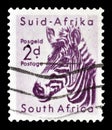 Postage stamp printed in South Africa Royalty Free Stock Photo