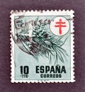Cancelled postage stamp printed by Spain, that promotes The fight against tuberculosis