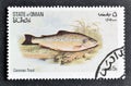 Cancelled postage stamp printed by State of Oman, that shows Common trout