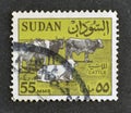 Cancelled postage stamp printed by Sudan, that shows cattle