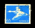 Cancelled postage stamp printed by Sweden, that shows birds