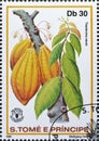 Cancelled postage stamp printed by SÃÂ£o TomÃÂ© and PrÃÂ­ncipe, that shows The cocoa tree