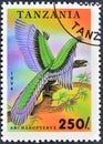 Prehistoric Animal - Archaeopteryx