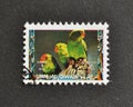 Cancelled postage stamp printed by Umm al-Qiwain, that shows Black-winged Lovebird