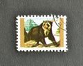 Cancelled postage stamp printed by Umm al-Qiwain, that shows Spectacled Bear