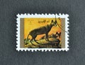 Cancelled postage stamp printed by Umm al-Qiwain, that shows Tasmanian Tiger