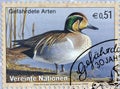 Cancelled postage stamp printed by United Nations, that shows Endangered species - Baikal Teal