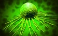 Cancer cell Royalty Free Stock Photo