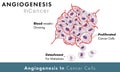 Cancer cell proliferation and angiogenesis of blood vessels mechanism vector design