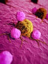 cancer cells Royalty Free Stock Photo