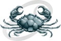 Cancer the crab star sign Royalty Free Stock Photo