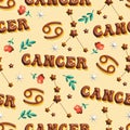 Cancer Cute 3D illustration Zodiac signs seamless pattern , Zodiac icons astrological pattern Horoscope symbols Royalty Free Stock Photo