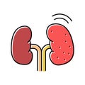 cancer kidney color icon vector illustration