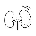 cancer kidney line icon vector illustration