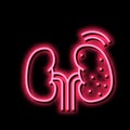 cancer kidney neon glow icon illustration