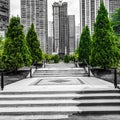 Cancer Survivors Garden in Maggie Daley Park