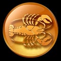 Cancer zodiac button icon