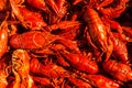 Cancers to beer, boiled crawfish, beer snacks