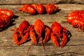 Cancers to beer, boiled crawfish, beer snacks