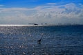 Cancun hotel zone from Isla Mujeres island Royalty Free Stock Photo