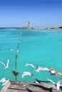 Cancun lighthouse view from seagull pier